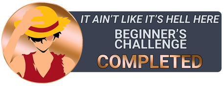 Beginner's Challenge